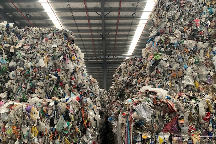 Huge piles of baled recyclable waste tower up towards the roof of a large warehouse, photographed from inside.