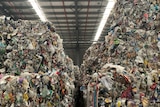 Huge piles of baled recyclable waste tower up towards the roof of a large warehouse, photographed from inside.