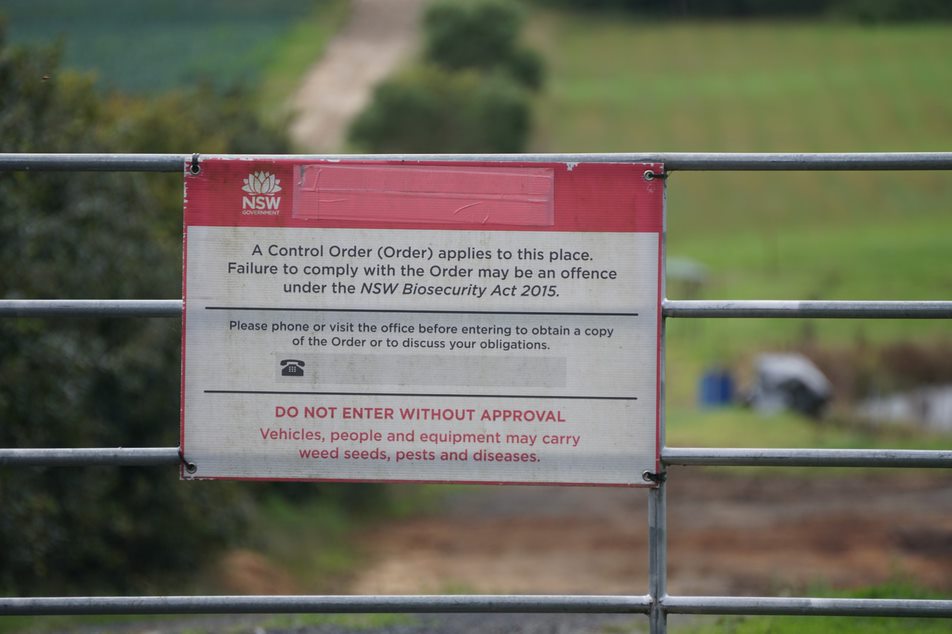 White sign issuing a biosecurity order in front of a property. Mangrove Mountain. 