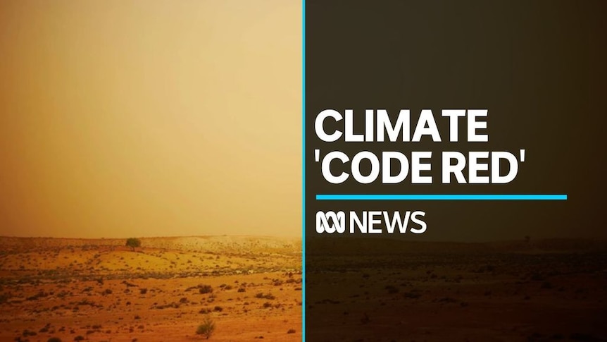 Skyldfølelse Besøg bedsteforældre dæmning UN calls 'code red' on climate change - ABC News