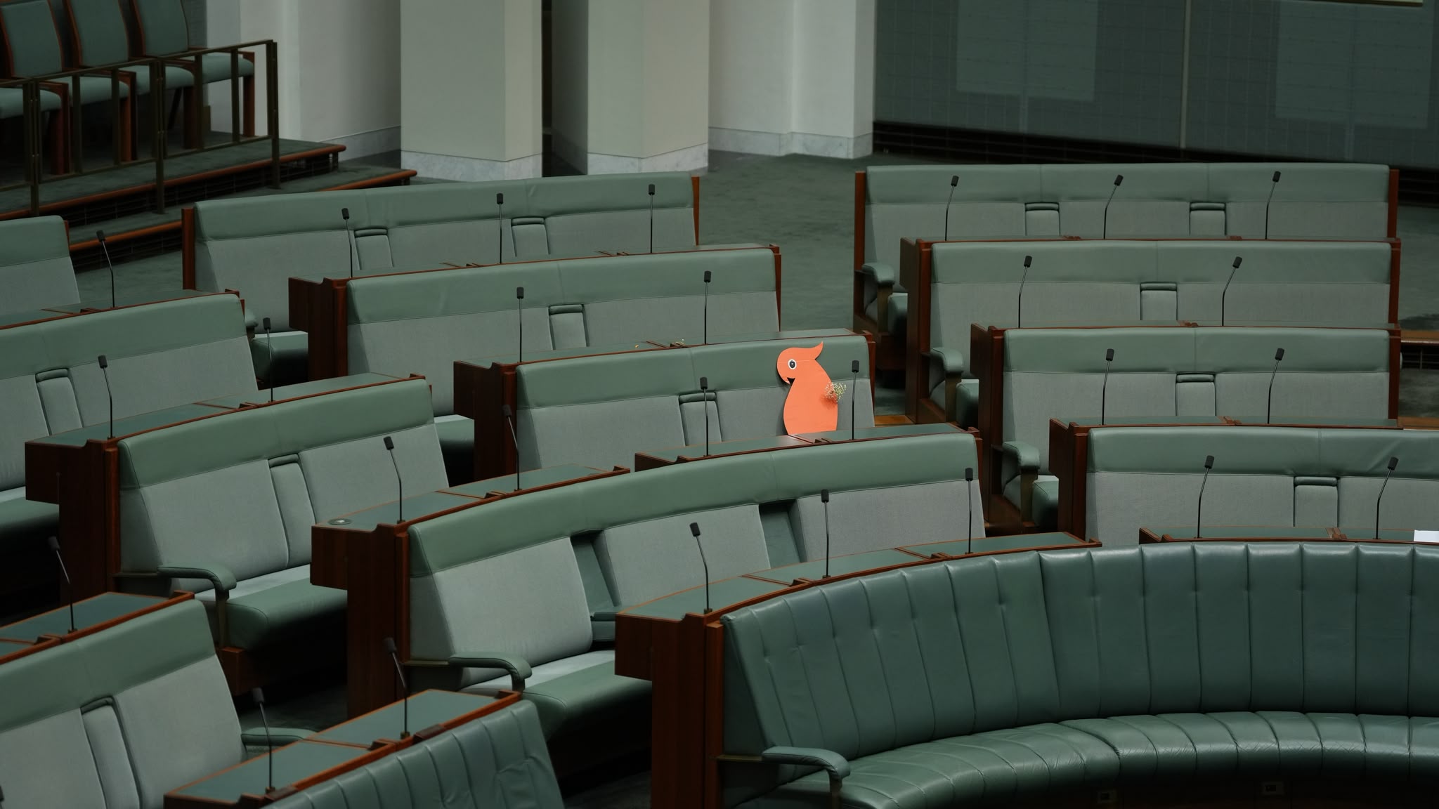 MPs urged 'let light win' as cockatoo sits in for Helen Haines