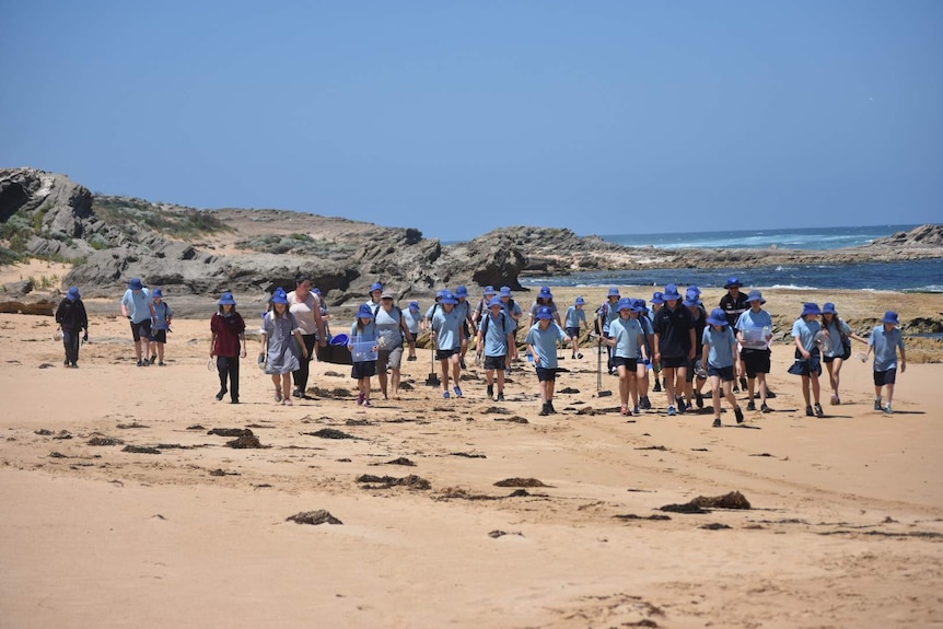 People walk along beach