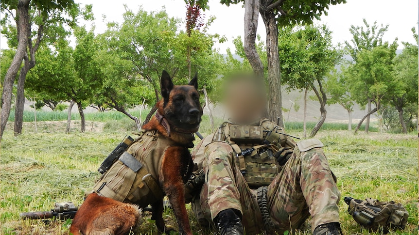 SAS dog with handler in Afghanistan.