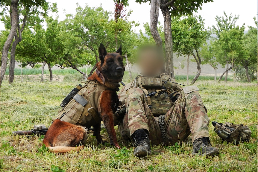 SAS dog with handler in Afghanistan.