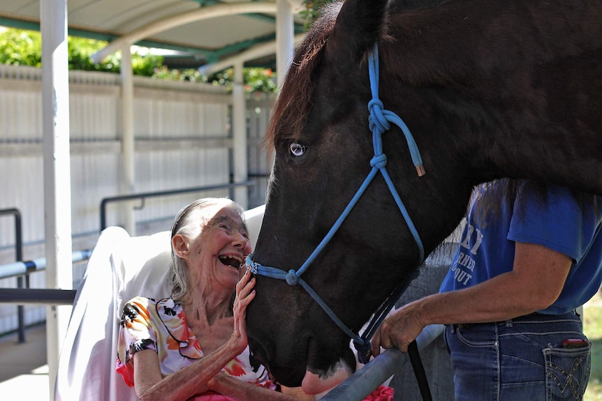 Aged care resident in movable bed smiling and patting a brown horse