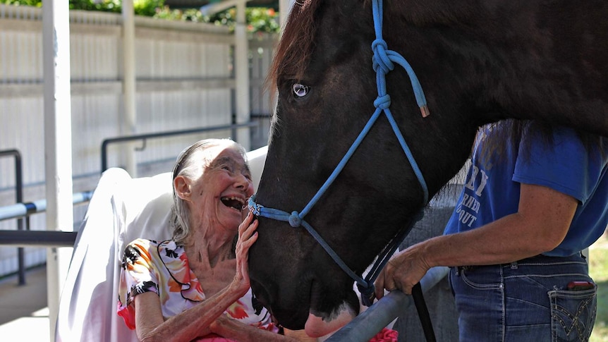 Aged care resident in movable bed smiling and patting a brown horse