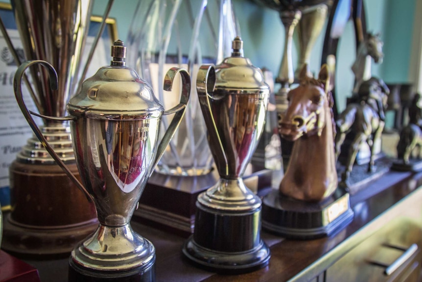 Awards on a table.