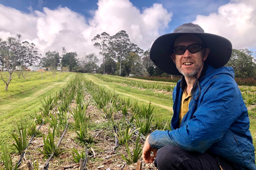  A man in a hat crouches down next to a young row of plants.