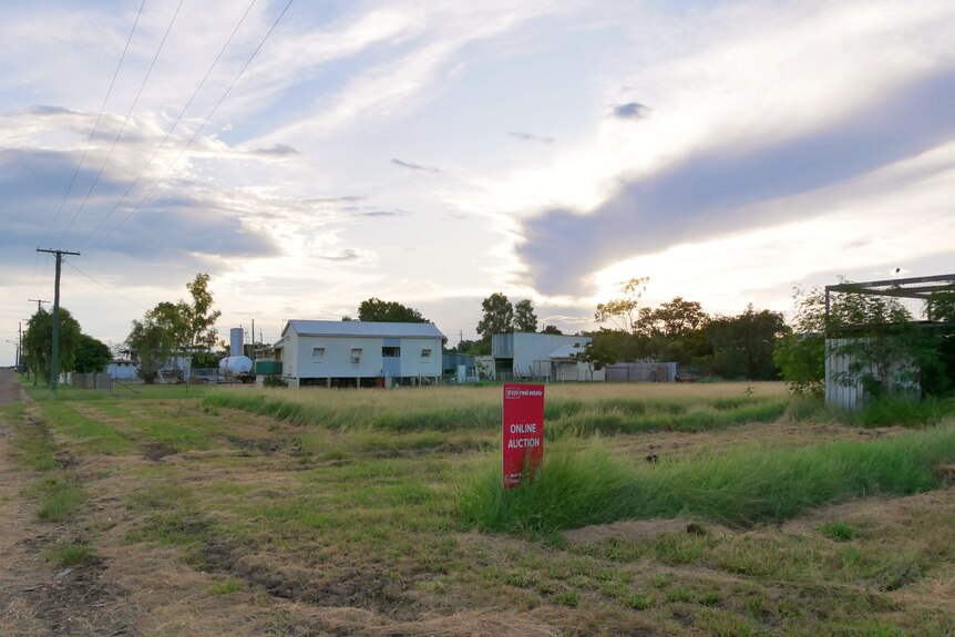 A vacant grassy block with a red sign reading 'online auction'.
