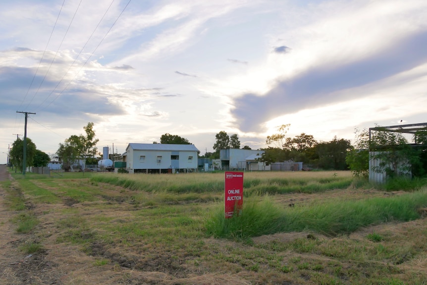 A vacant grassy block with a red sign reading 'online auction'