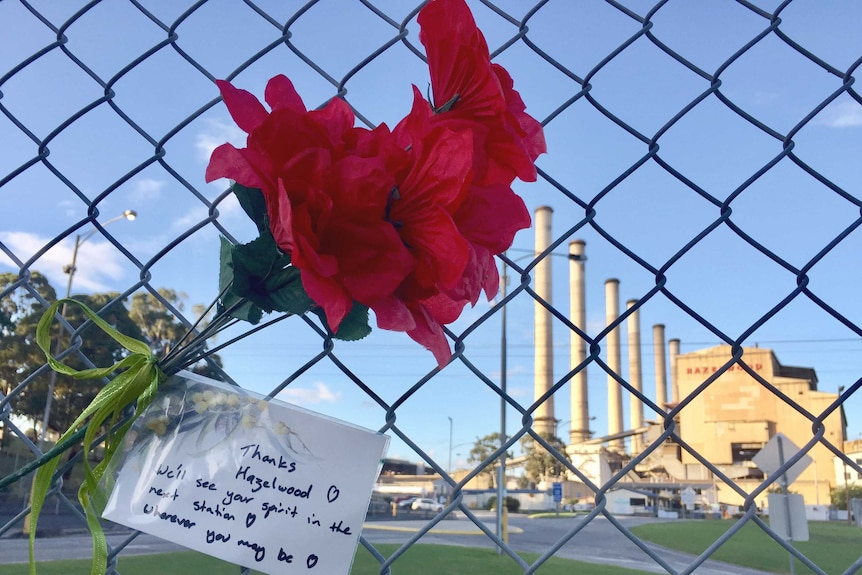 A flower and a note on a fence at Hazelwood power station in Victoria.