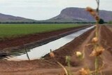 Ord irrigation scheme channel in Western Australia