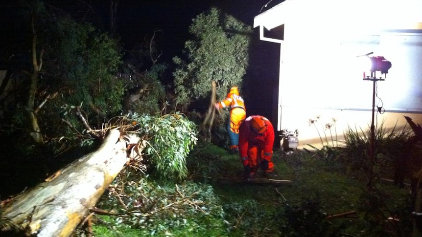 SES work on downed tree