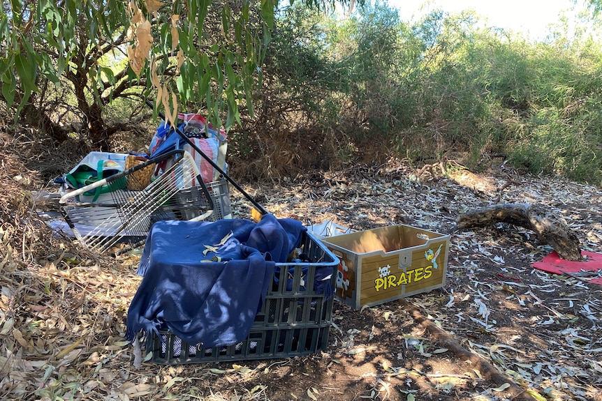 A pile of rubbish in a bushland area.