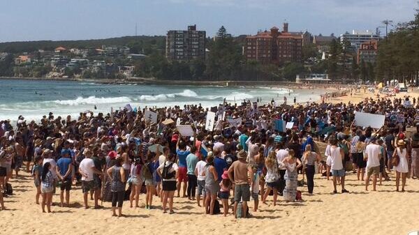 Shark cull protesters