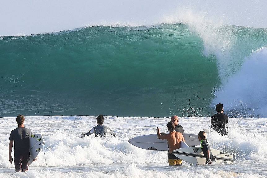 Surfers survey large surf before paddling out at Snapper Rocks on the Gold Coast.