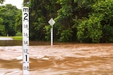 River height markers in flood