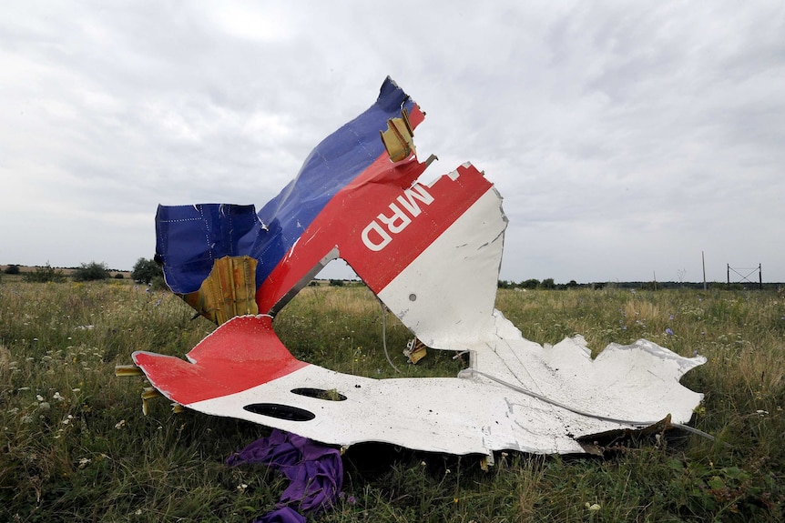 Wreckage at the MH17 crash site