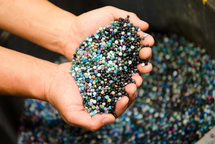 A person cupping their hands has multicoloured circular pellets in them above a bucket filled with more pellets.