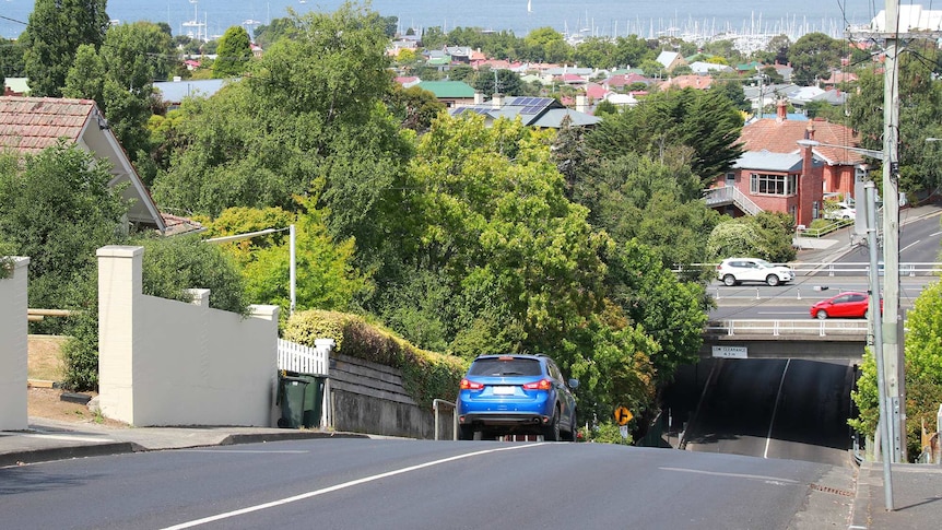 Lynton Avenue, South Hobart.