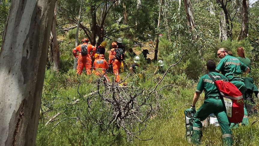 A woman was winched from bushland in Montacute Conservation Park in Adelaide after a branch fell on her.