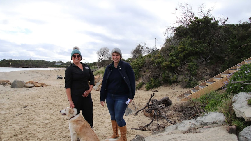 Two women and a dog standing on a beach near stairs under cloudy skies