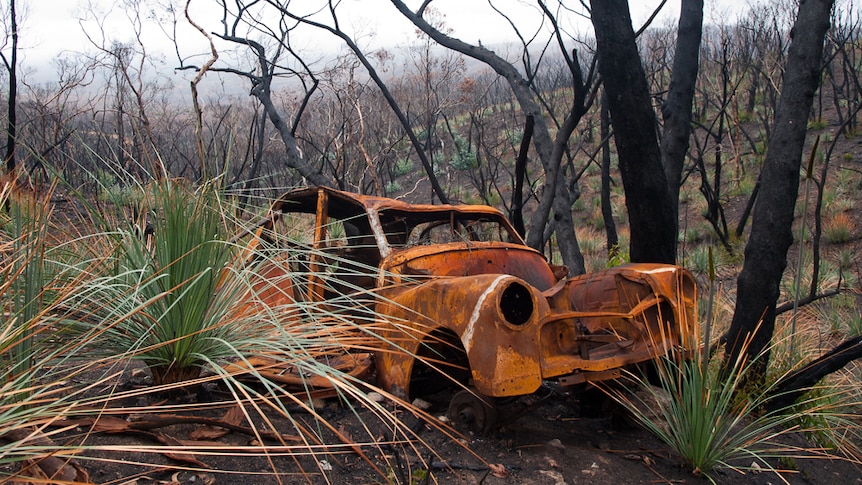 A car wreck adds colour to the Kersbrook Road gully.