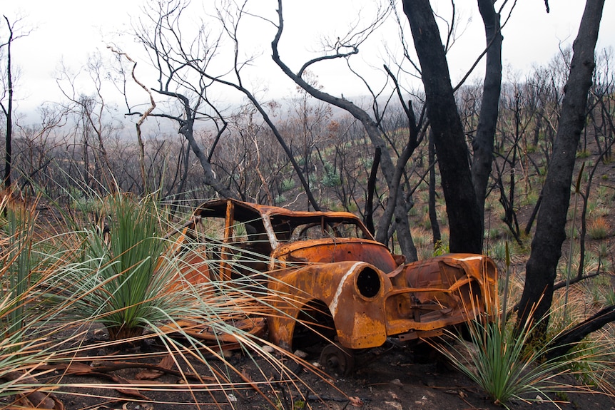 A car wreck adds colour to the Kersbrook Road gully.