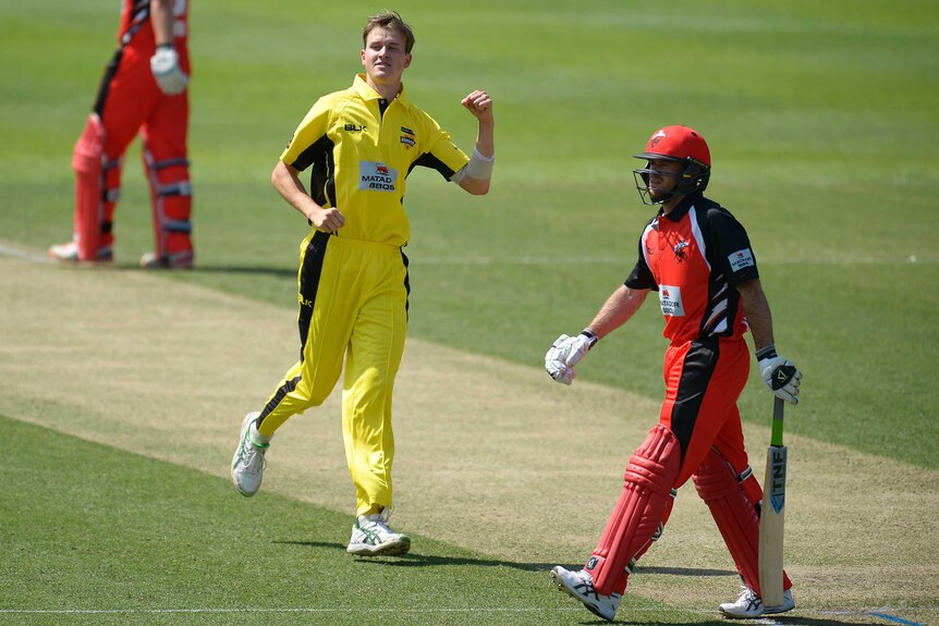 Joel Paris of Western Australia celebrates a wicket.