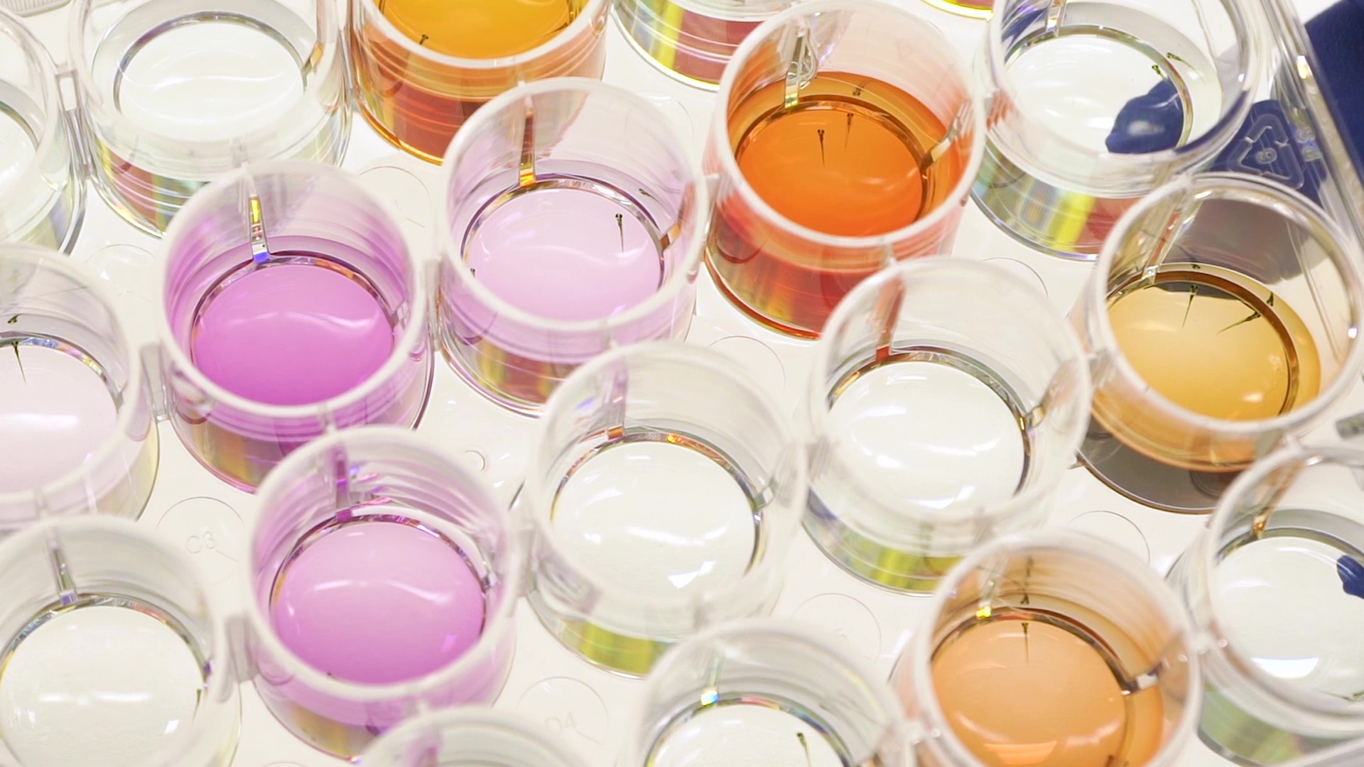 Copos coloridos de líquido sobre uma mesa branca