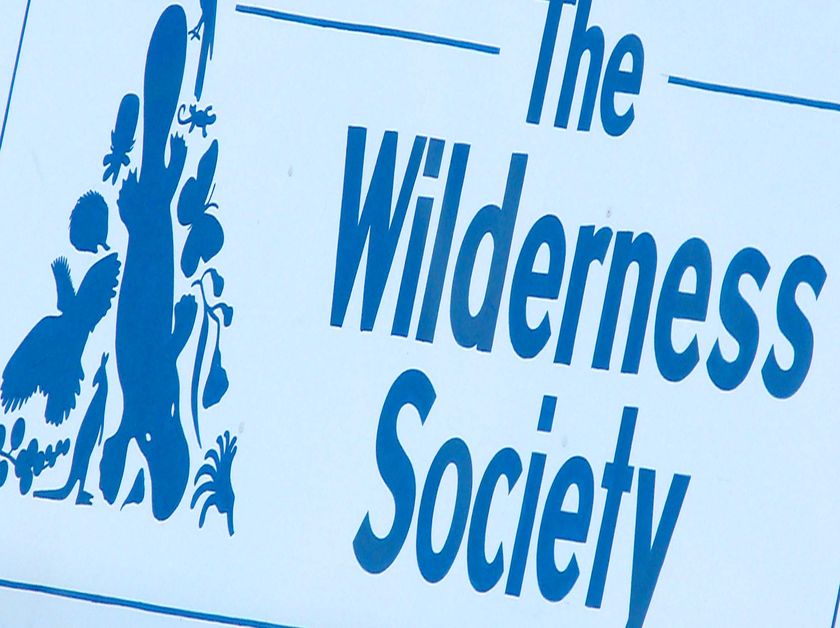 Court Clears Way For Wilderness Society Showdown ABC News