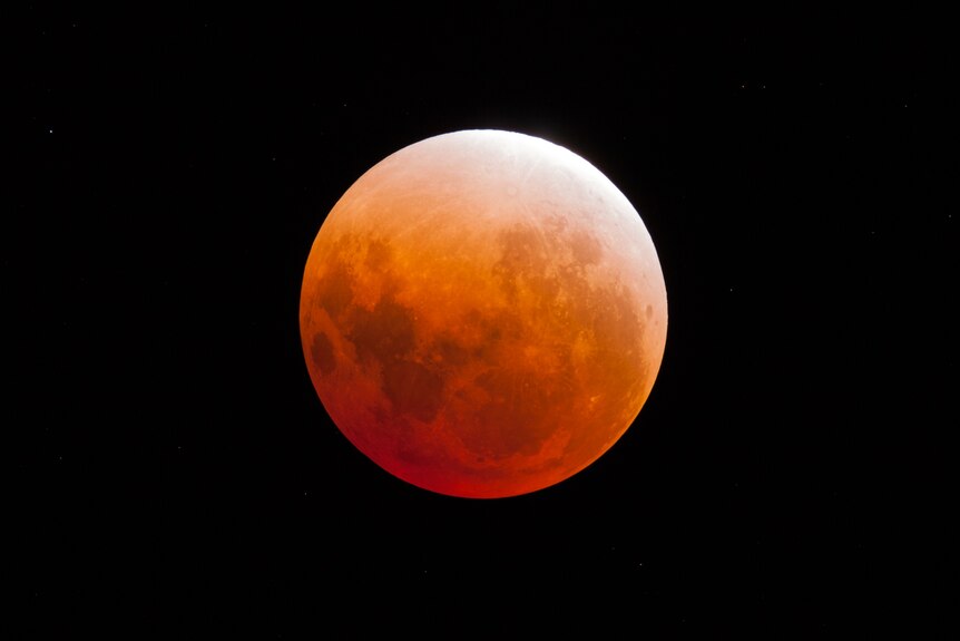 A blood red eclipsed moon.