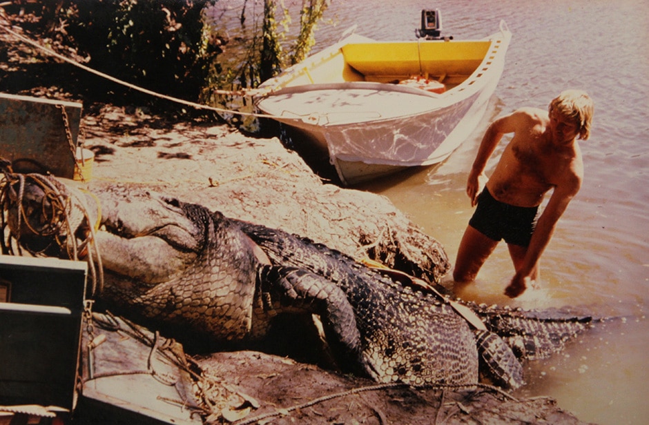 A man stands near the very large crocodile called Sweatheart, which has been tied up on a riverbank.