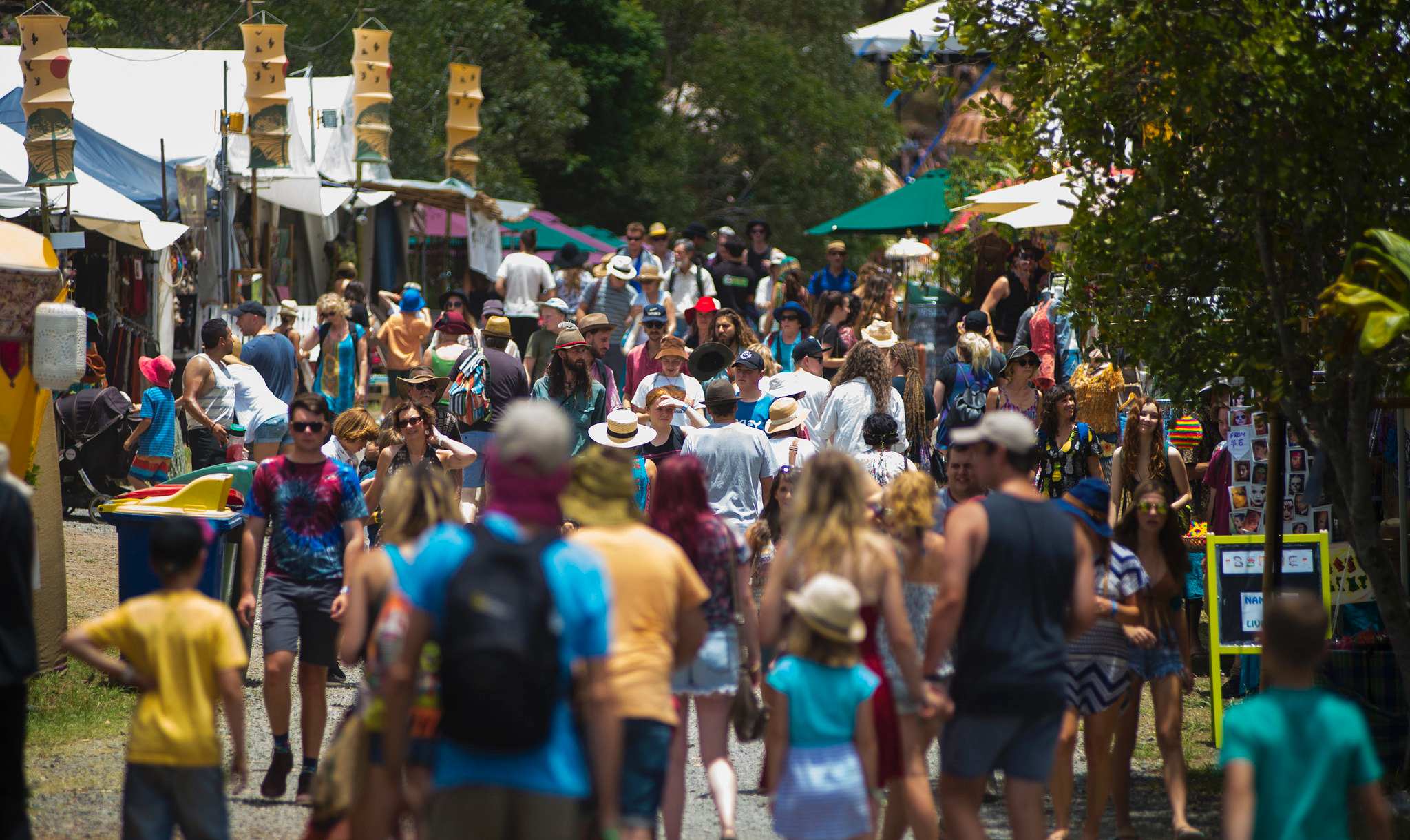 Woodford Folk Festival set to return in 2022 ABC News