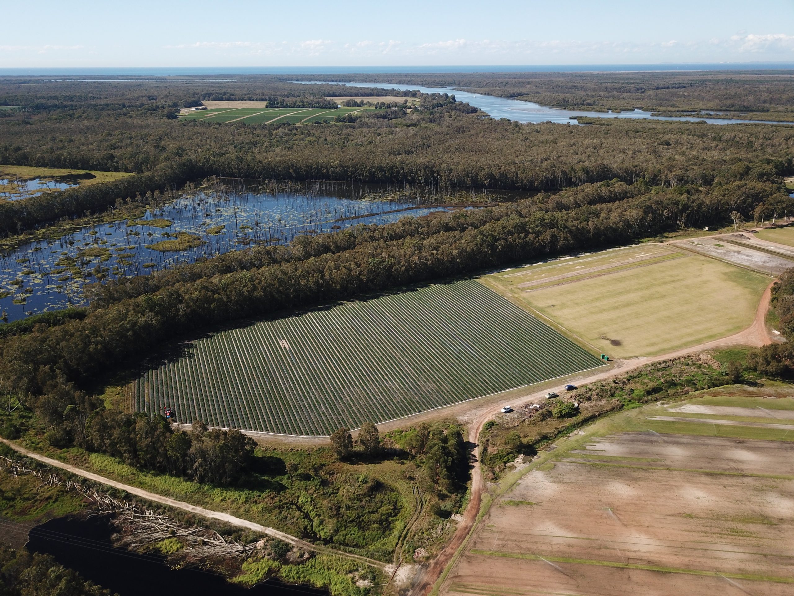 Environmentalists outraged by south-east Qld music festival site approval