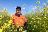 A middle-aged man stands in a tall canola crop. He is wearing an orange hi-vis shirt and dark cap.