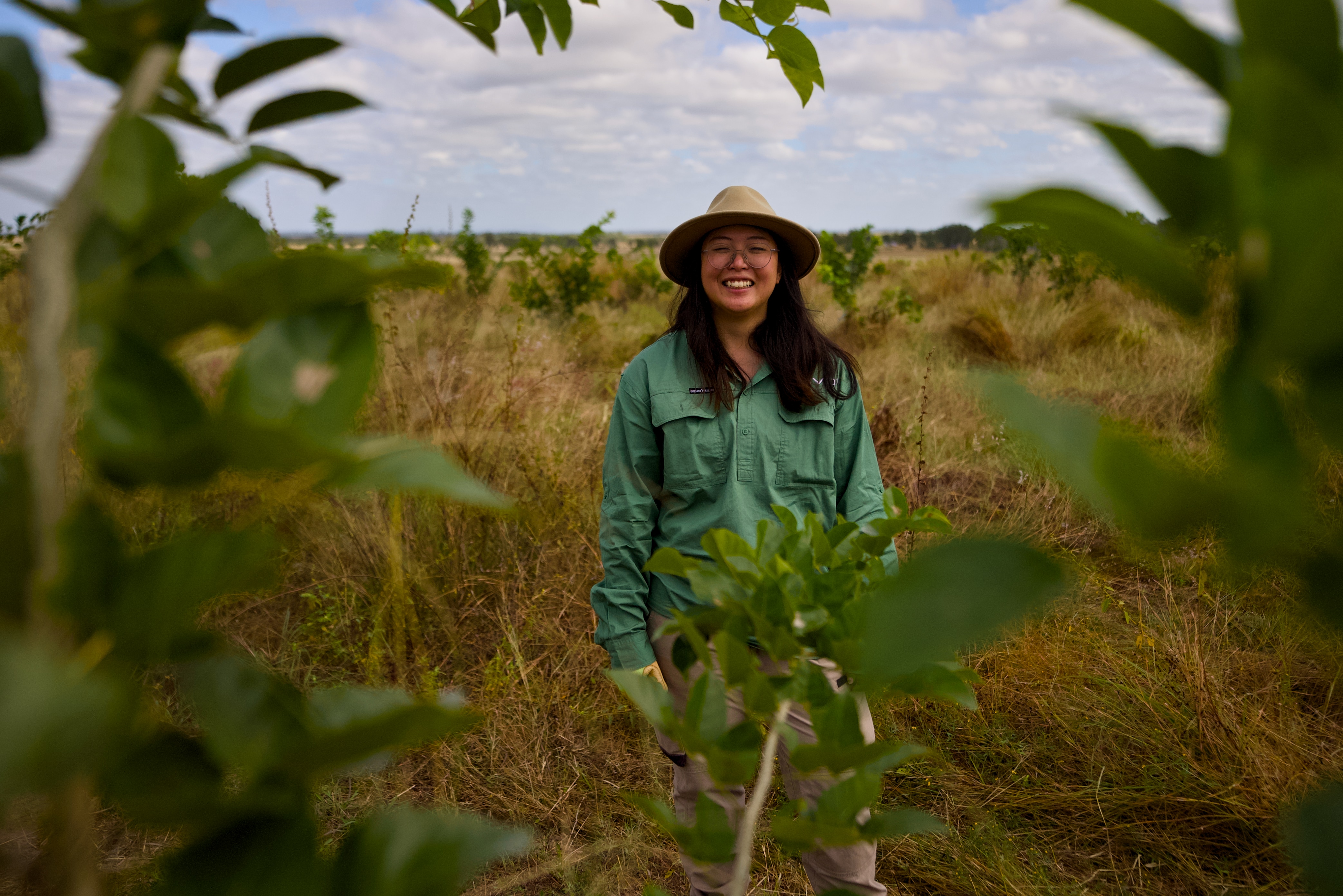 A farming scientist standing in between newly planted pongamia trees.
