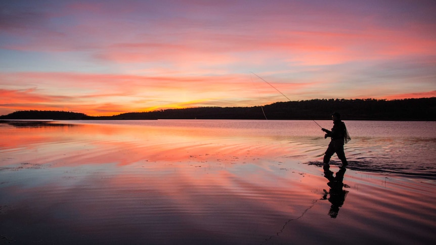 A fisherman wades through water at sunset in Tasmania's Central Highlands.