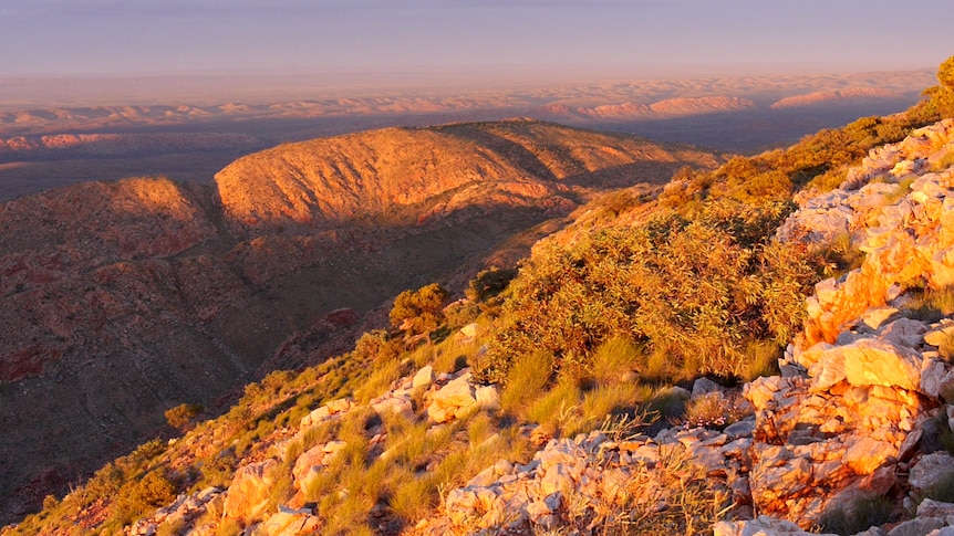 view of mountains in a golden yellow colour