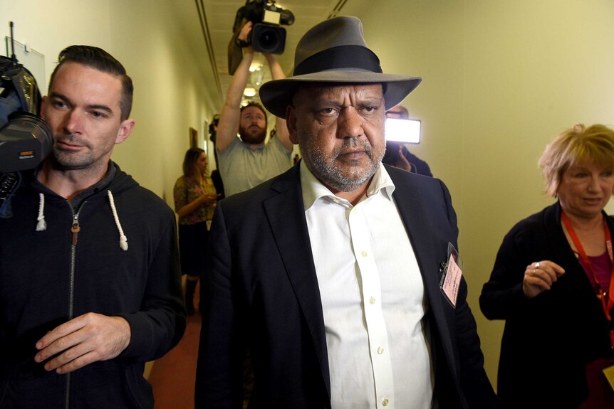 Noel Pearson's Cape York Partnerships missed out on the bauxite mine tender.