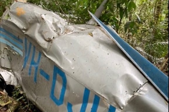 Plane wreckage is seen among trees and undergrowth. The plane was silver with blue writing that reads VHDJU and has stripes.