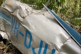 Plane wreckage is seen among trees and undergrowth. The plane was silver with blue writing that reads VHDJU and has stripes.