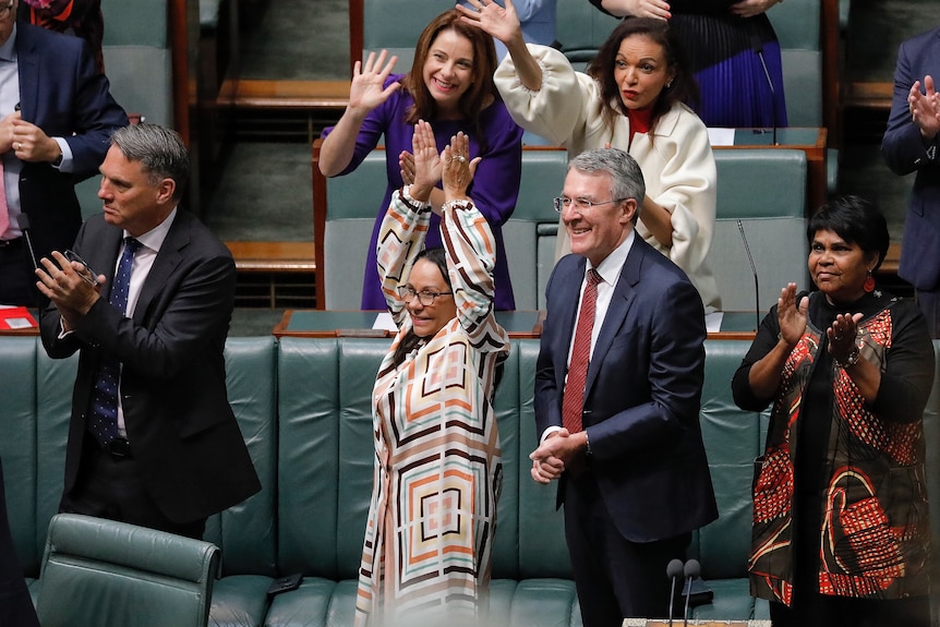 Politicians applaud and wave from the house floor.