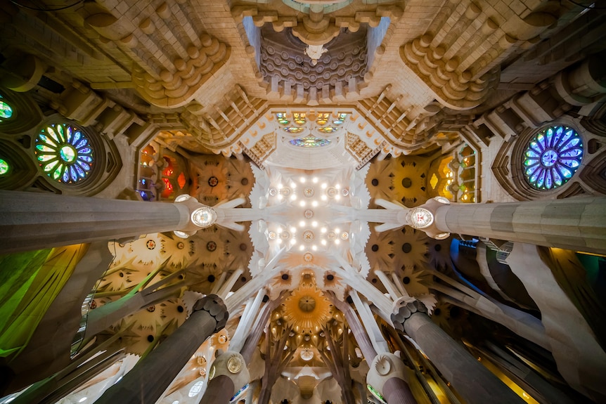 The very intricately sculpted ceiling of a basilica.