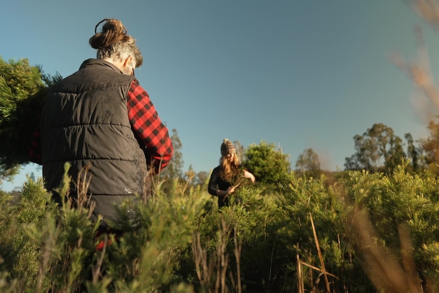 Photo of a man in a field.