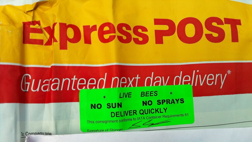 Post bag with green label reading live bees.