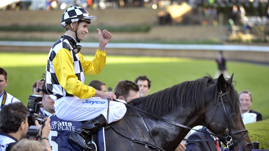 So You Think won't be back to defend his Cox Plate title.