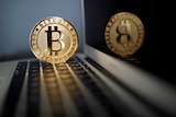 A Bitcoin coin is seen in an illustration picture