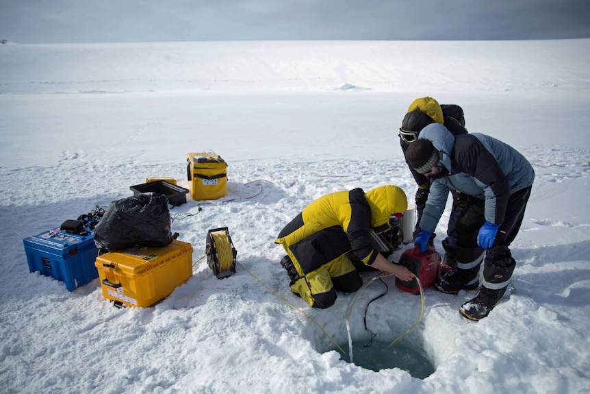 Scientists drop a camera under the ice