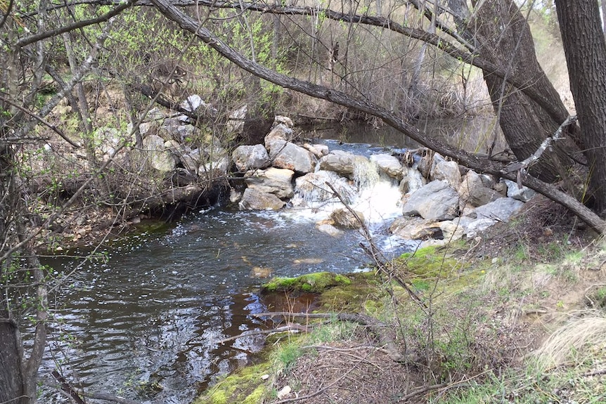 Leaky weir at Mulloon Creek